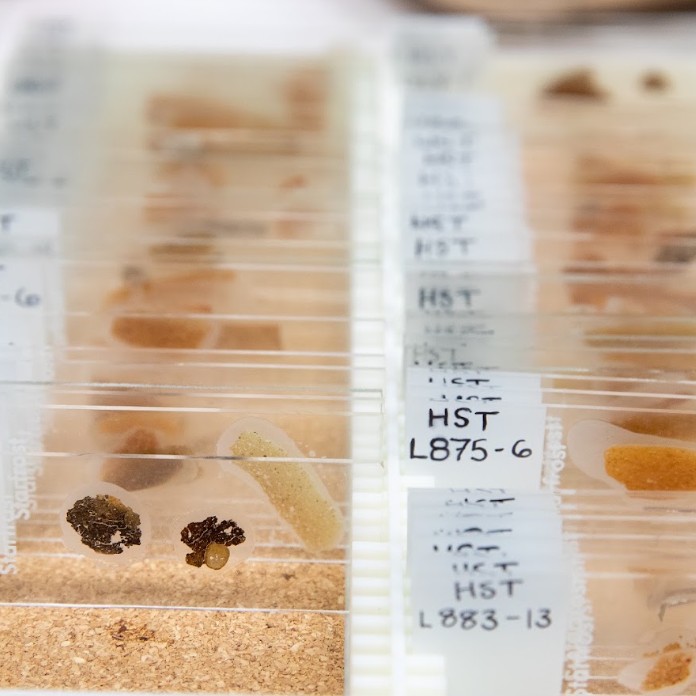 Thin sections stored in a slide box